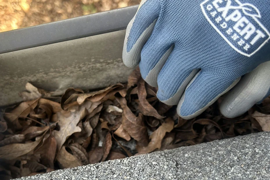 Gutter Cleaning Highland Springs