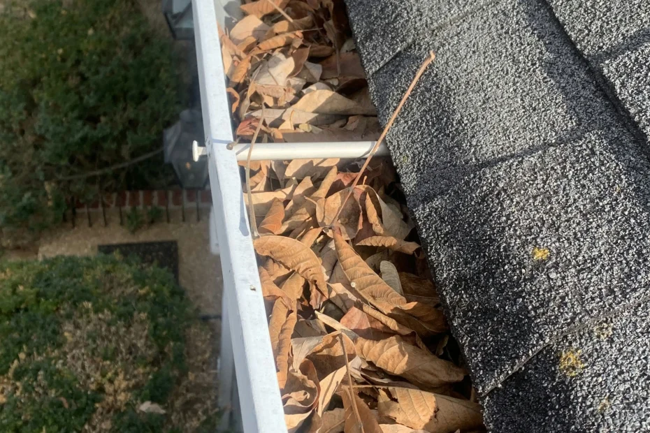 Gutter Cleaning Highland Springs