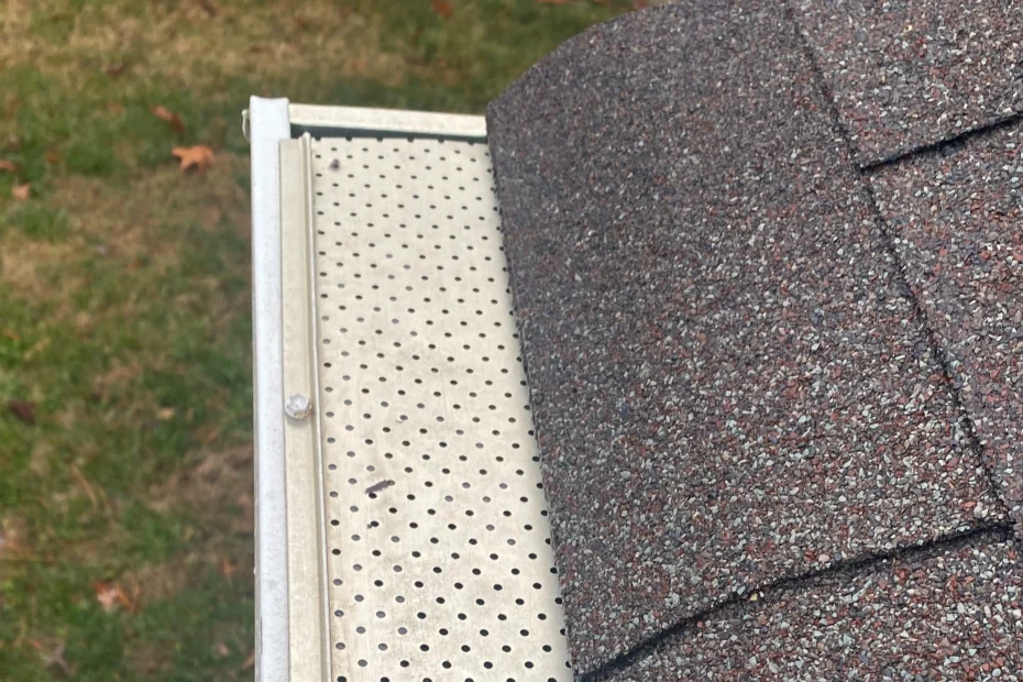 Gutter Cleaning Highland Springs