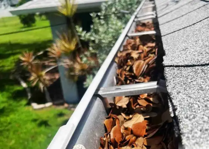 Gutter Cleaning Highland Springs home page